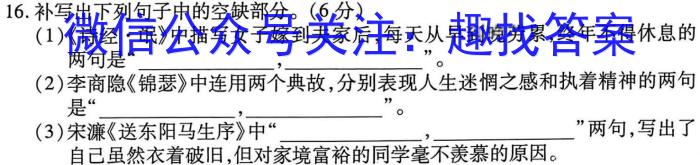 江西省2023年初中学业水平练习（三）语文