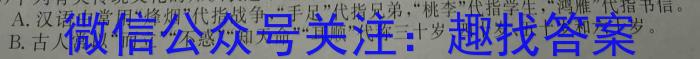 陕西省2023年初中学业水平考试联考模拟卷A语文