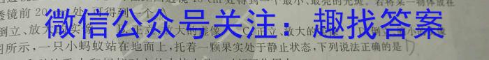 2023年普通高等学校招生全国统一考试·专家猜题卷(一).物理