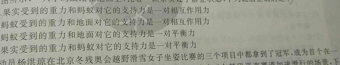 炎德英才大联考 2023年高考考前仿真模拟一-物理