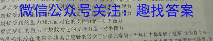 合阳县2023年初中学业水平九年级第二次模拟考试(5月)q物理