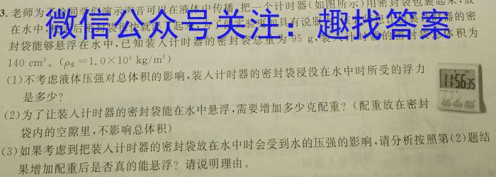 江西省2023届九年级《学业测评》分段训练（七）物理`