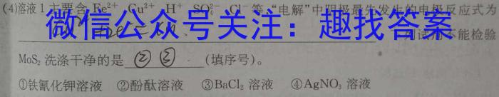 山西省2023届九年级山西中考模拟百校联考试卷（二）化学