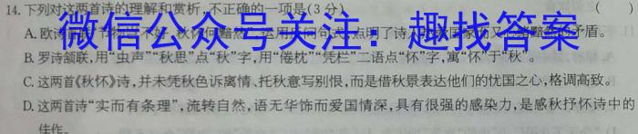 学林教育2023年陕西省初中学业水平考试·名师导向模拟卷(三)语文