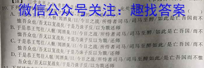 青桐鸣高考冲刺 2023年普通高等学校招生全国统一考试押题卷(四)语文