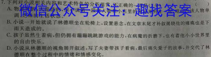 “高考研究831重点课题项目”陕西省联盟学校2023年第三次大联考语文