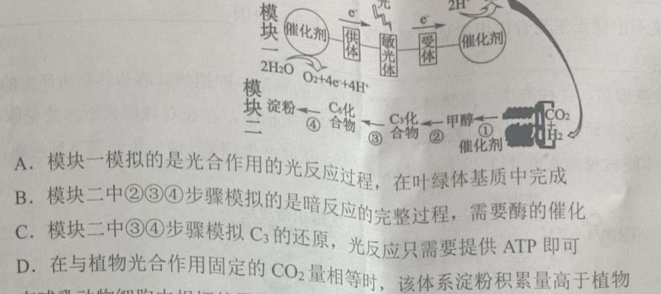 2023山西中考仿真卷（一）生物