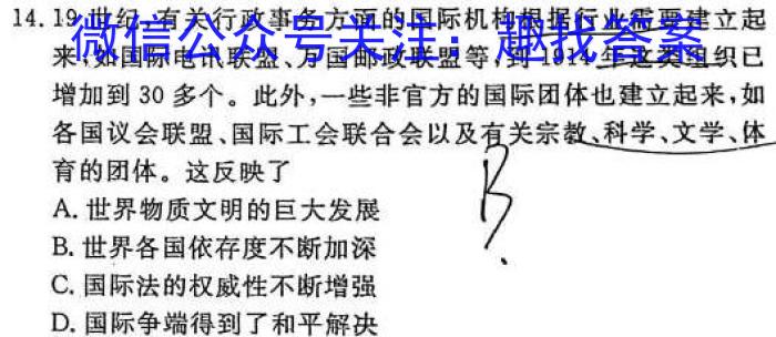 山西省2022-2023学年度八年级下学期期中综合评估（6LR）历史