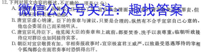 2023年福建大联考高三年级5月联考（517C·FJ）语文