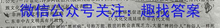 安徽省2023年第七次中考模拟考试练习历史