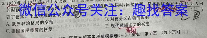 NT2023届普通高等学校招生全国统一考试模拟试卷(一)(新高考)历史