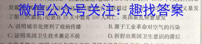 山西省2025届七年级第七次阶段性测试(R-PGZX G SHX)历史