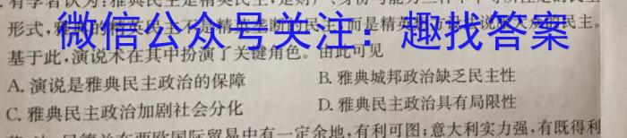 2022-2023学年陕西省八年级期中教学质量检测(23-CZ162b)历史