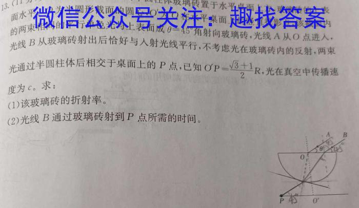 江西省2023年初中学业水平考试适应性试卷（二）物理`