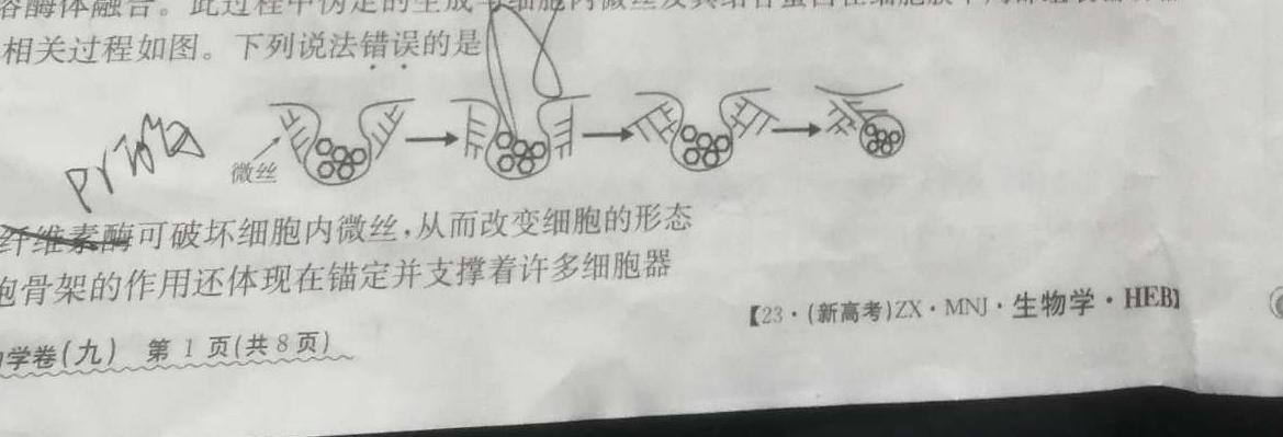024-2023学年高三押题信息卷（四）生物试题及答案"