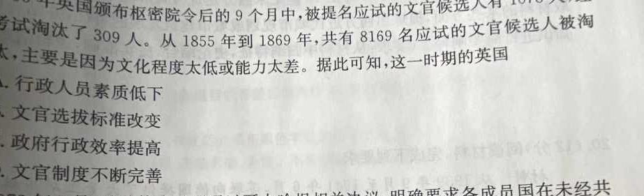 河南省2023年新野县九年级第一次模拟考试（23-CZ123c）历史