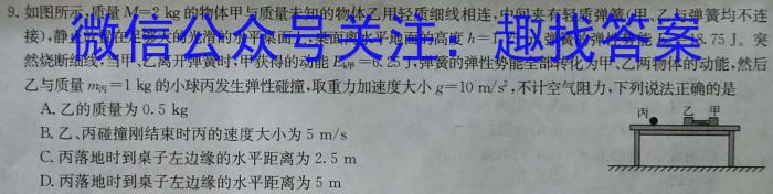 2023年安徽省初中毕业学业考试模拟仿真试卷（六）.物理