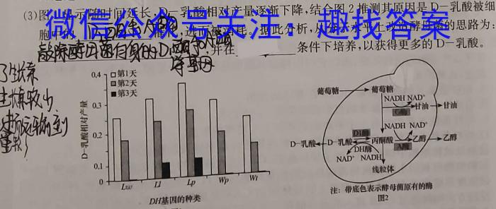 龙岩市2023年高中毕业班第三次教学质量检测生物试卷答案