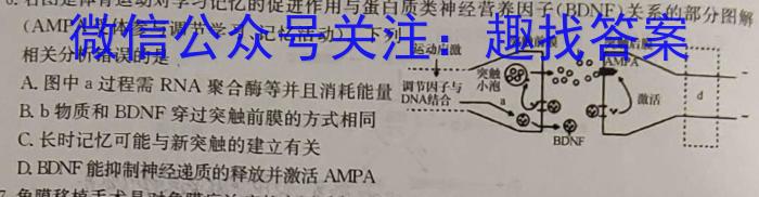 山西省2023年中考创新预测模拟卷（四）生物