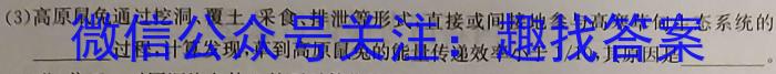 2023年普通高等学校招生统一考试 新S3·临门押题卷(二)生物