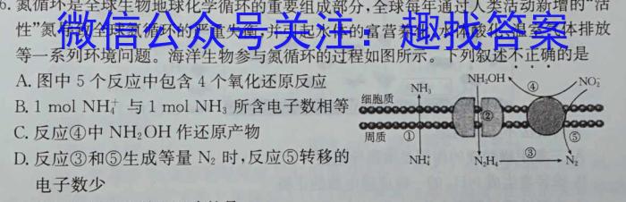 2023年普通高等学校招生全国统一考试信息模拟测试卷(新高考)(六)化学