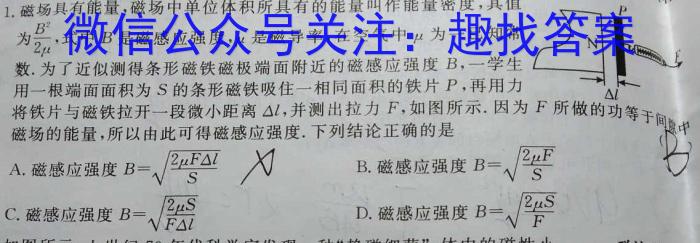 [泰安三模]泰安市2023年高三三模q物理