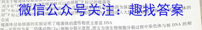 ［邯郸二模］邯郸市2023届高三年级第二次模拟考试生物