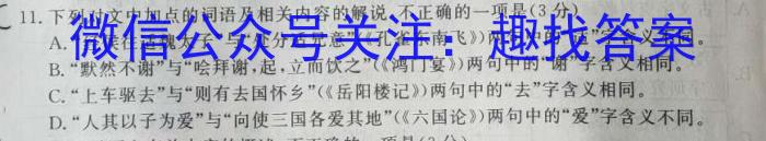 安徽省亳州市利辛高级中学2022~2023学年高二年级第三次月考(232687Z)语文