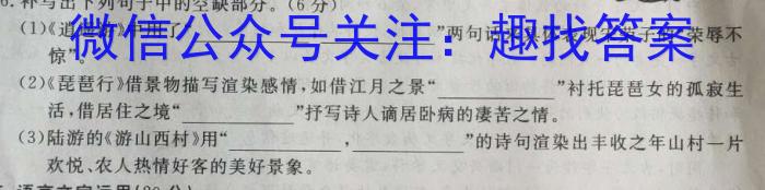 决胜新高考-2023届高三年级大联考（5月）语文