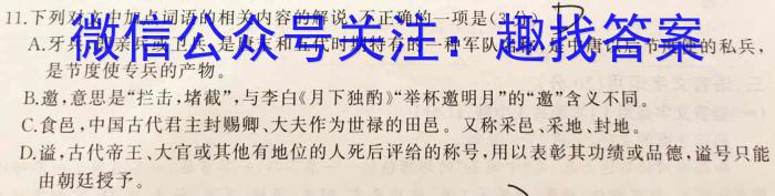 河南省2023年新野县九年级第一次模拟考试（23-CZ123c）语文