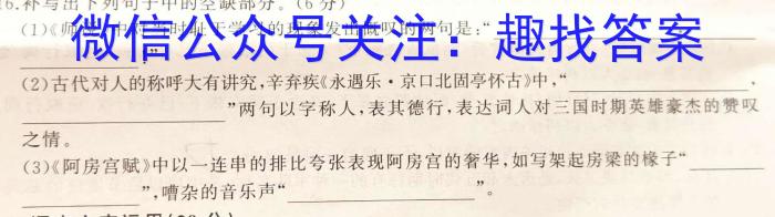 2023年湖南省普通高中学业水平合格性考试高一仿真试卷(专家版五)语文