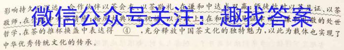 2023年普通高等学校招生统一考试 新S3·临门押题卷(四)语文