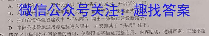 2023届全国普通高等学校招生统一考试(新高考) JY高三终极一考卷(一)语文