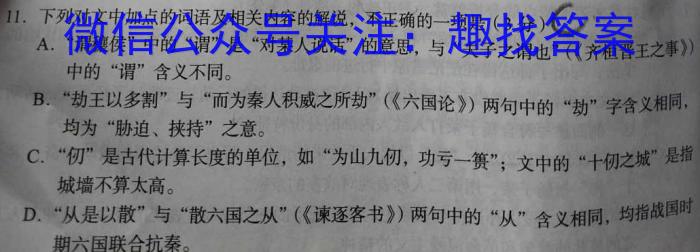 江淮教育联盟2023年春季九年级第二次联考语文