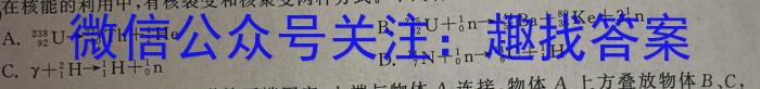 河南省创新发展联盟2023高二下学期4月期中考试（23-419B）.物理