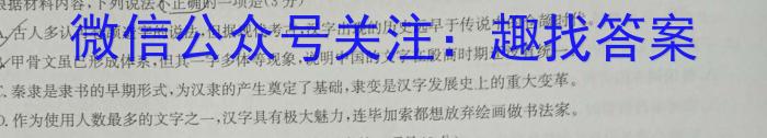 河南省2023年新野县九年级第一次模拟考试（23-CZ123c）语文