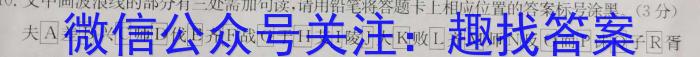 2023届银川一中、昆明一中高三联合考试二模语文