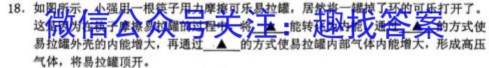 江西省九江市2023年初中学业水平考试复习试卷（二）f物理