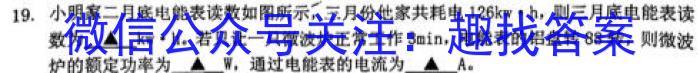 安徽省2023年第七次中考模拟考试练习物理`