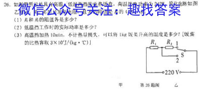 河南省2023年新野县九年级第一次模拟考试（23-CZ123c）.物理