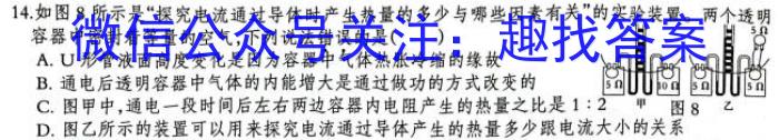 天一大联考·安徽卓越县中联盟 2022-2023学年(下)高一阶段性测试(期中)f物理