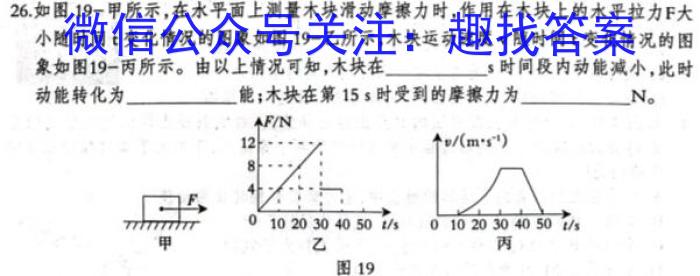 2023届河南省中考适应性检测卷（23-CZ139c）物理`