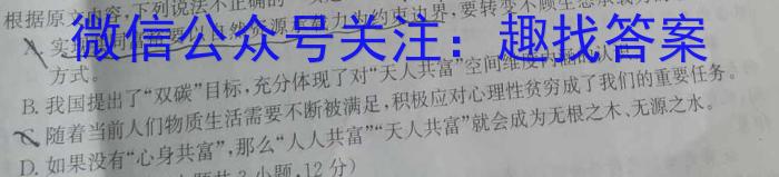 2023年河南大联考高三年级5月联考（5001C·HEN）语文