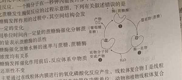 ［保定二模］保定市2023年高三第二次模拟考试生物