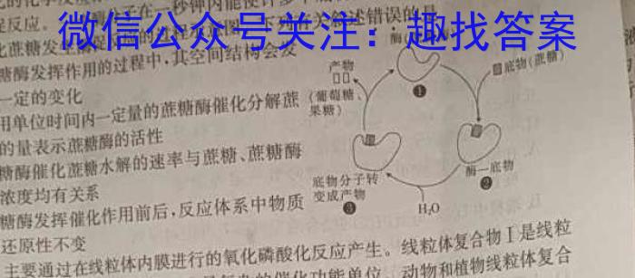 2023届普通高校招生全国统一考试仿真模拟·全国卷 BBY-E(四)(五)(六)生物试卷答案