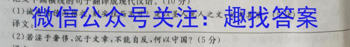 衡水金卷2023届高三5月份大联考(老高考)语文