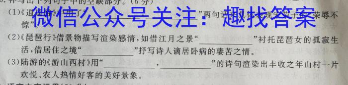 江西省吉安市重点中学六校协作体2023届五月联合考试语文