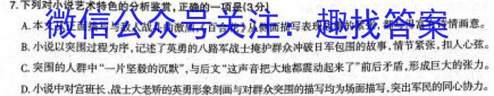 2023年普通高等学校招生全国统一考试(银川一中第二次模拟考试)语文