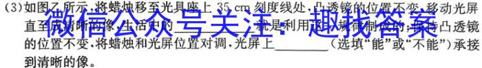 安徽省涡阳县2024-2023学年度九年级第二次质量监测q物理