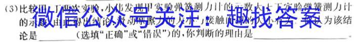 一步之遥 2023年河北省初中毕业生升学文化课考试模拟考试(八)物理`